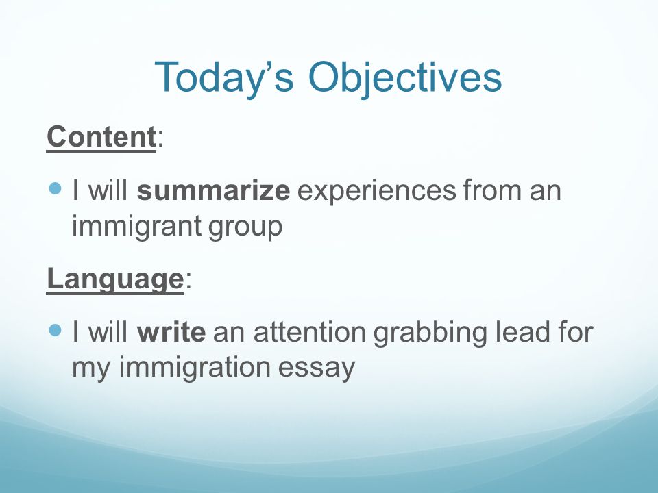 Immigrant Essay