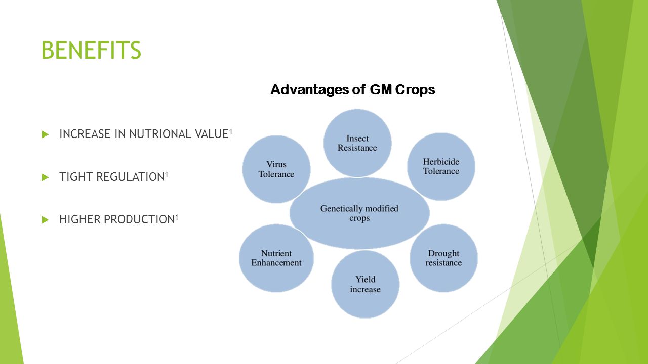 Gmo Food Essay Disadvantages Of Genetically Modified Foods Essay Co Gmo Essay Essay Gmo Essay Conclusion Genetically Modified Food Gmo Food Essay Genetic Modified Foods Advantages Buy Essays Papers also Annotated Bibliography Help Custom Writing Service Uk