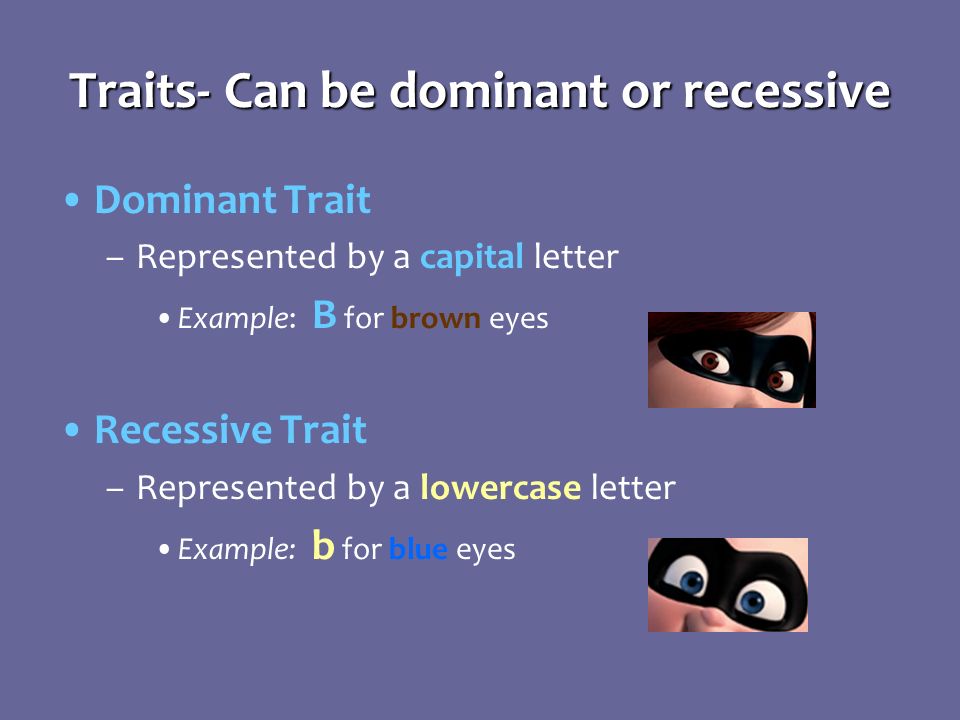 Heredity Notes What Do You Think Left Side Of Notebook How 11 Dominant Trait Represented By A Capital Letter Example B For Brown Eyes Recessive Lowercase Blue