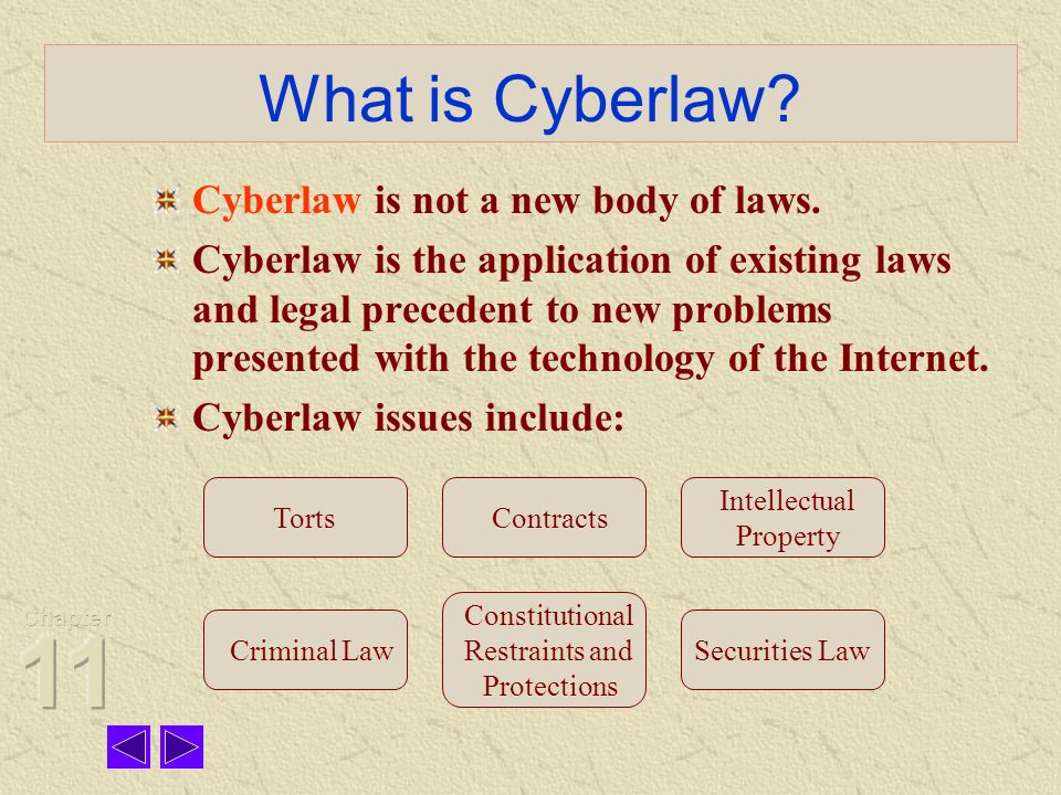 cyber law