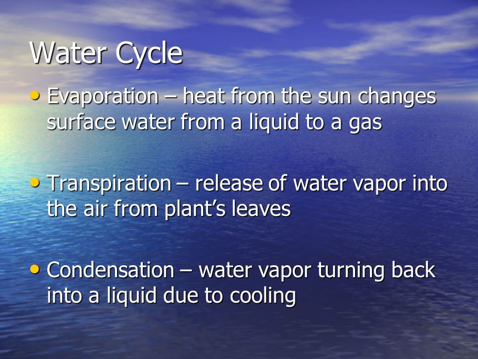 Water Cycle Evaporation – heat from the sun changes surface water from a liquid to a gas Evaporation – heat from the sun changes surface water from a liquid to a gas Transpiration – release of water vapor into the air from plant’s leaves Transpiration – release of water vapor into the air from plant’s leaves Condensation – water vapor turning back into a liquid due to cooling Condensation – water vapor turning back into a liquid due to cooling