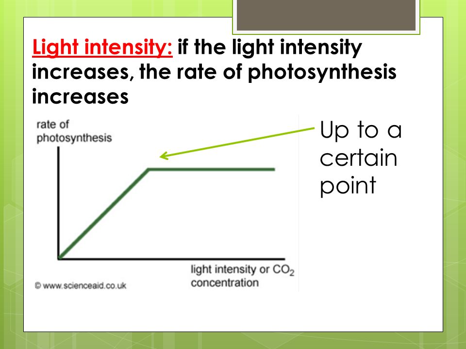 measuring the rate of photosynthesis using measuring the rate of photosynthesis using