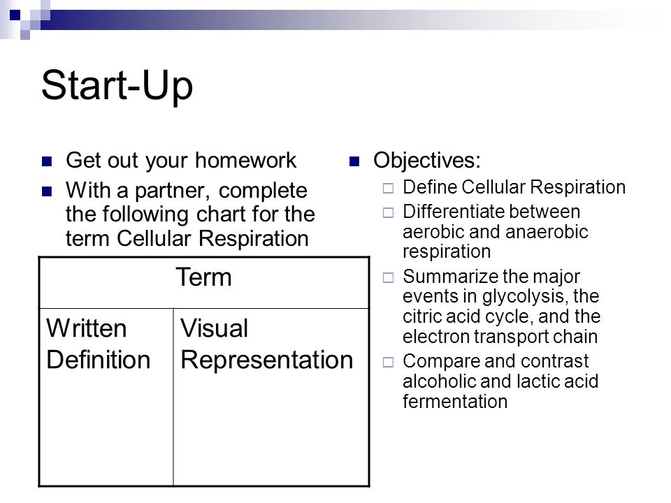 Cellular Respiration Breaking Down Energy Worksheet Answers Bhbr 03 Cellular Respiration Exercise Student Haspi