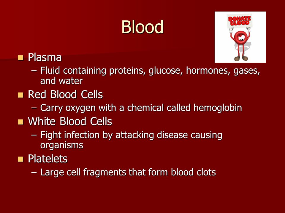 Blood Plasma Plasma –Fluid containing proteins, glucose, hormones, gases, and water Red Blood Cells Red Blood Cells –Carry oxygen with a chemical called hemoglobin White Blood Cells White Blood Cells –Fight infection by attacking disease causing organisms Platelets Platelets –Large cell fragments that form blood clots