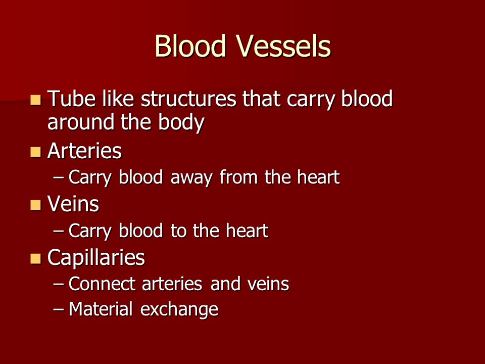 Blood Vessels Tube like structures that carry blood around the body Tube like structures that carry blood around the body Arteries Arteries –Carry blood away from the heart Veins Veins –Carry blood to the heart Capillaries Capillaries –Connect arteries and veins –Material exchange