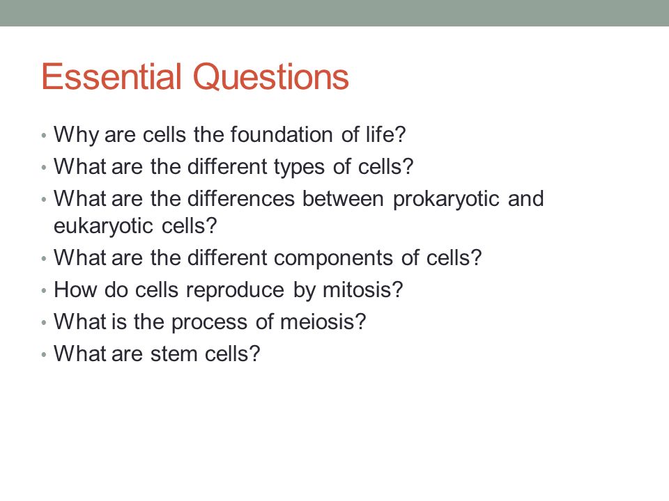 Biotechnology Chapter 4 Cells The Foundation Of Life Troy Area Essential Questions Why Are Cells The Foundation Of Life