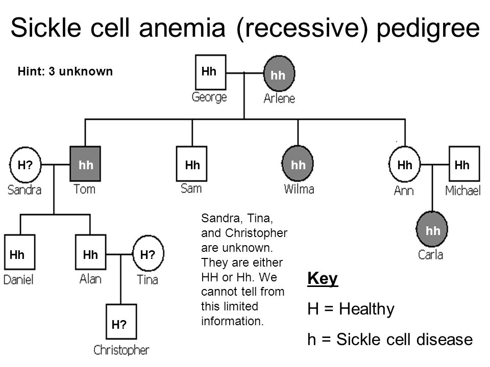 Worksheets Autosomal Pedigree Worksheet autosomal pedigree worksheet practice worksheets samsungblueearth genetics samsungblueearth