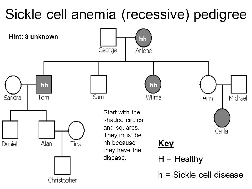 Worksheets Human Pedigree Worksheet pedigree worksheet interpreting a human dna homework sheet worksheet