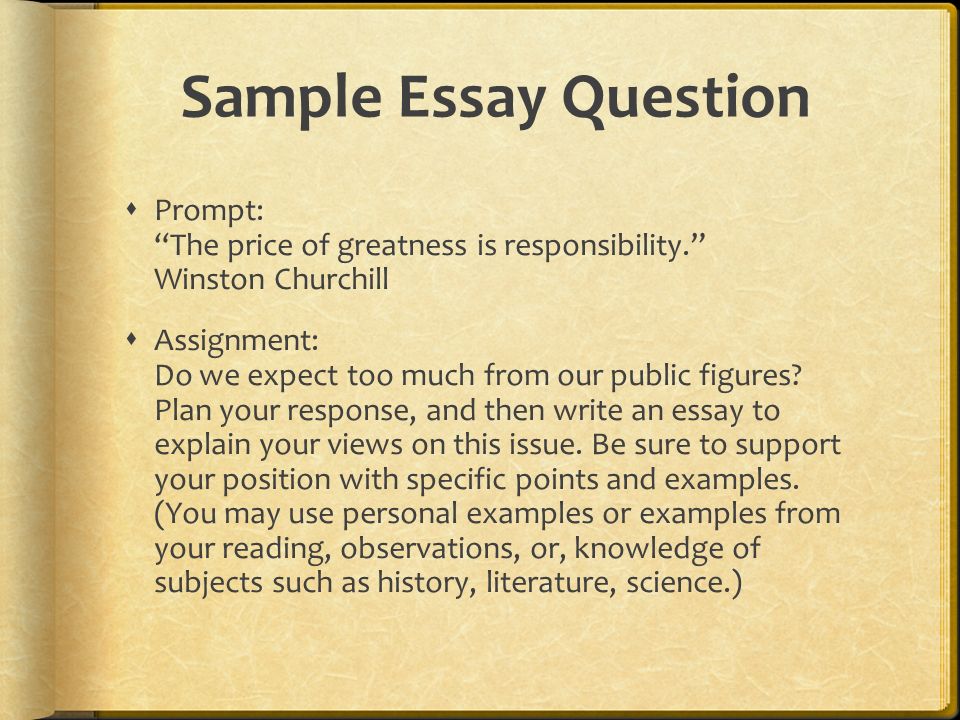 military history essay questions military history essay questions