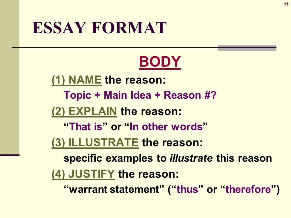 Example Illustration Essay