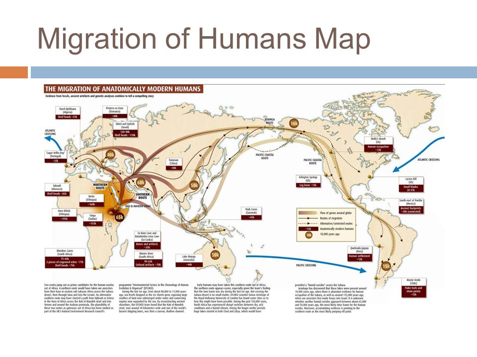 ap world history migration essay argentina
