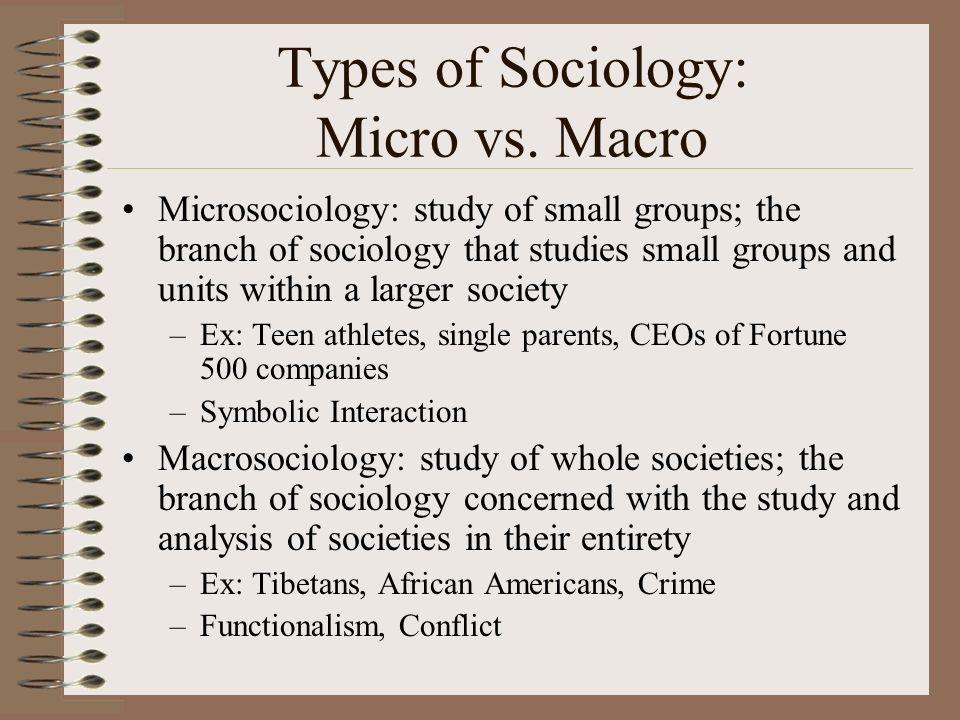 macro and micro sociology essays macro and micro sociology essays
