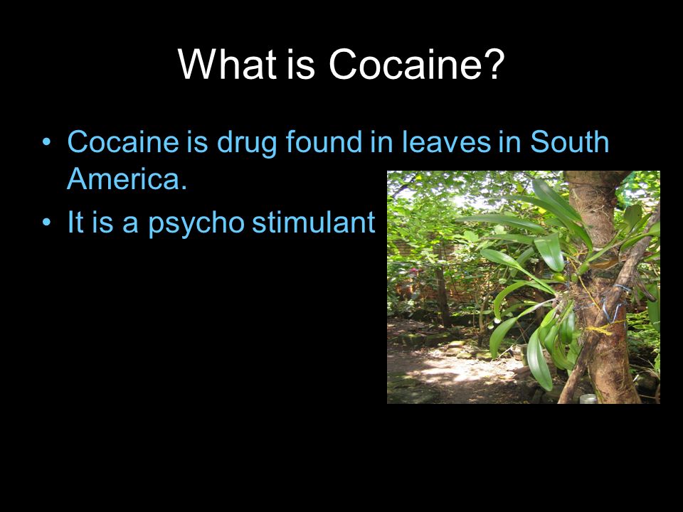 what is cocaine under fontanacountryinn com what is cocaine