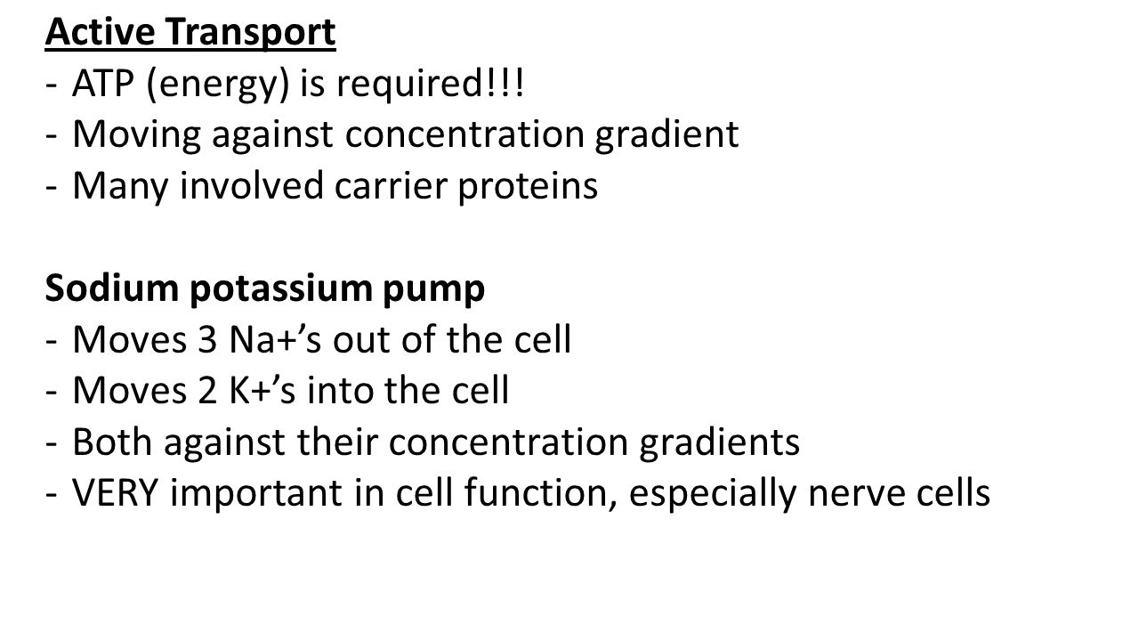 refer to activity 5 simulating active transport which carrier proteins affect na transport Activity 5: simulating active transport lab of glucose carriers will affect the transport of sodium no na+ transport because in order for na+k+ pump. refer to activity 5 simulating active transport which carrier proteins affect na transport Activity 5: simulating active transport lab of glucose carriers will affect the transport of sodium no na+ transport because in order for na+k+ pump.
