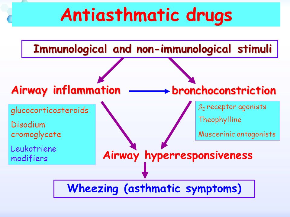 Theophylline mechanism of action
