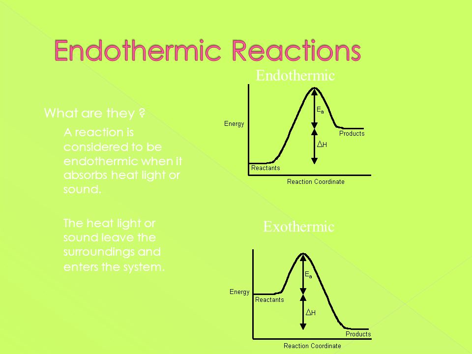 What does endothermic mean?