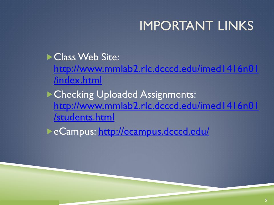 dcccd ecampus