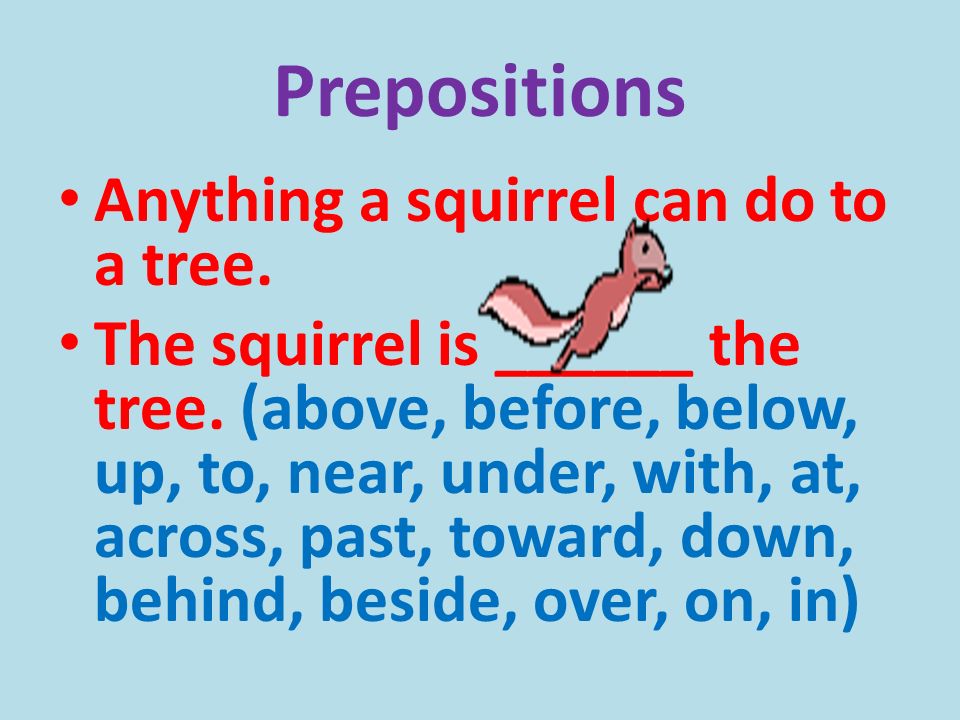 Prepositions Anything a squirrel can do to a tree.