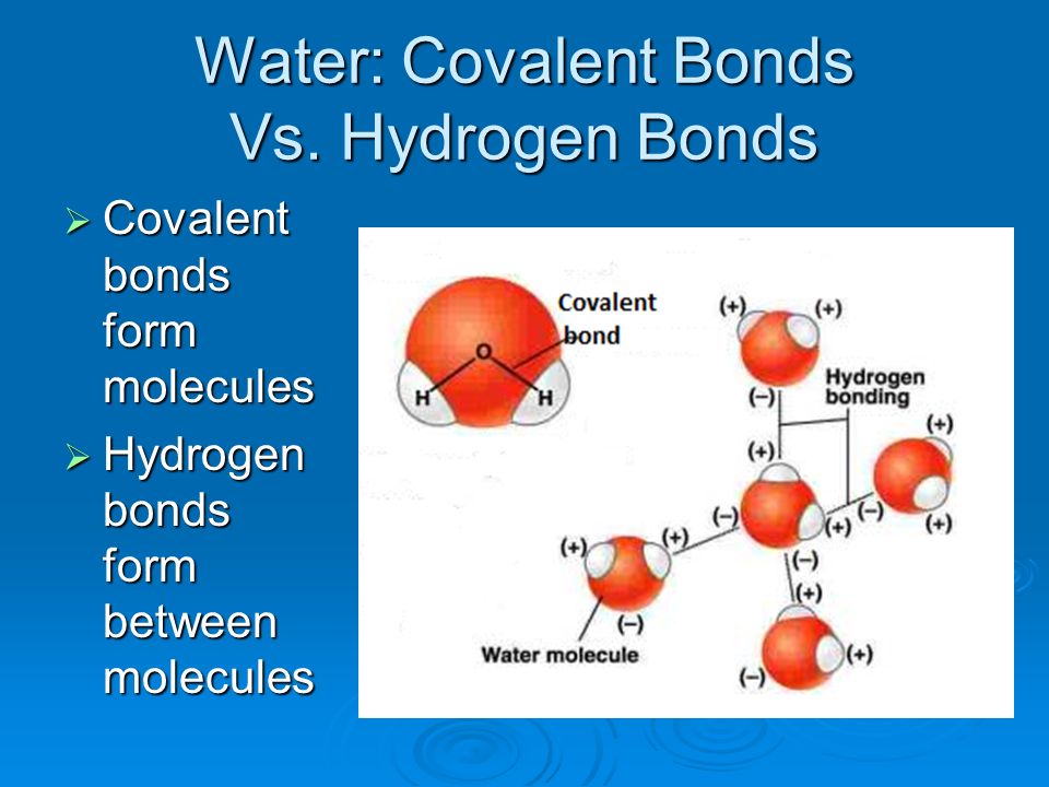 properties of water polarity hydrogen bonding polar molecule hydrogen bonds form