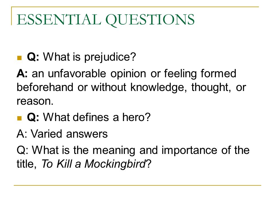 to kill a mockingbird essays on prejudice
