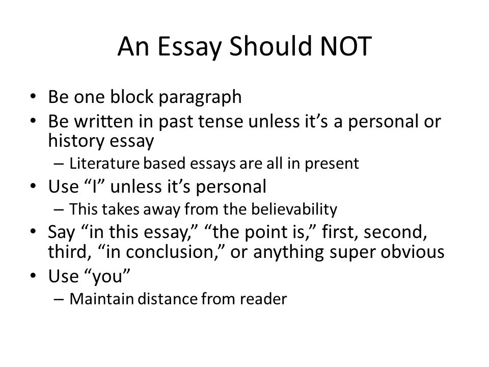Literature based essay examples
