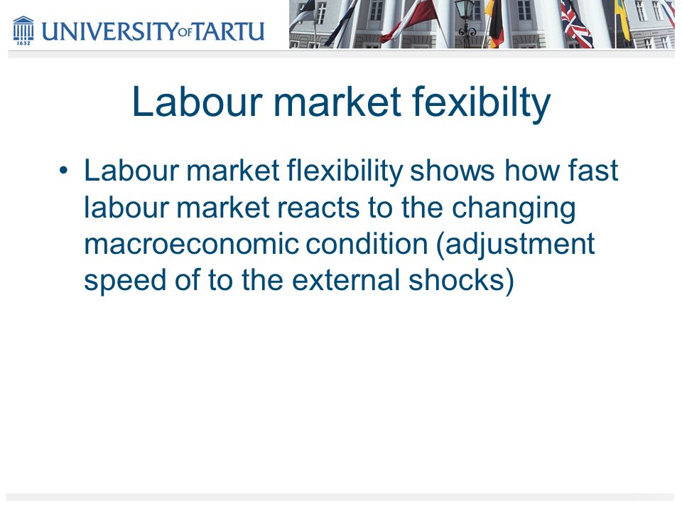 Labour market fexibilty Labour market flexibility shows how fast labour market reacts to the changing macroeconomic condition (adjustment speed of to the external shocks)