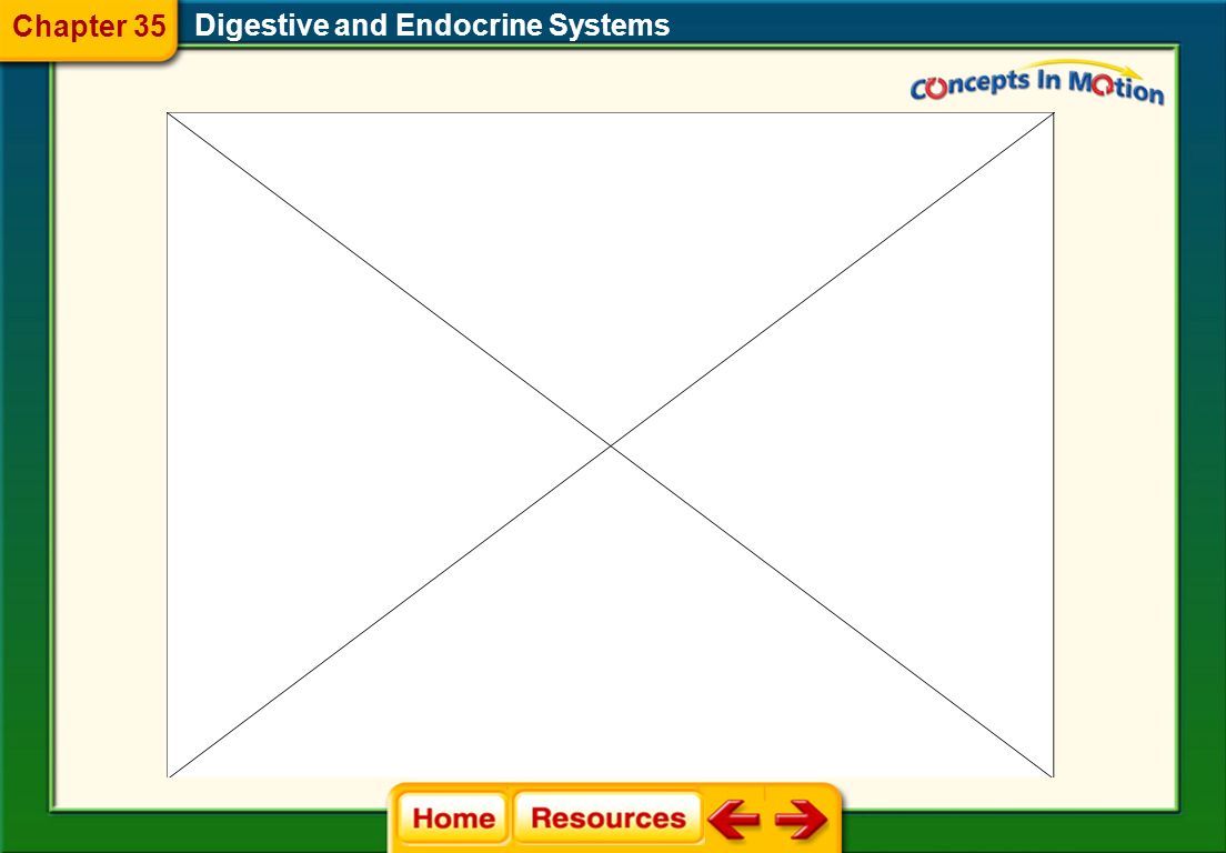 Section 1 Darwin Theory Of Evolution By Natural Selection Evolution By Natural Selection Worksheet Answers University Of