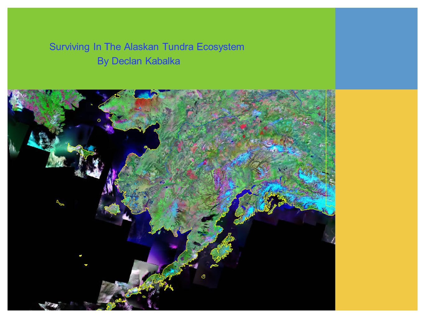 tundra ecosystem