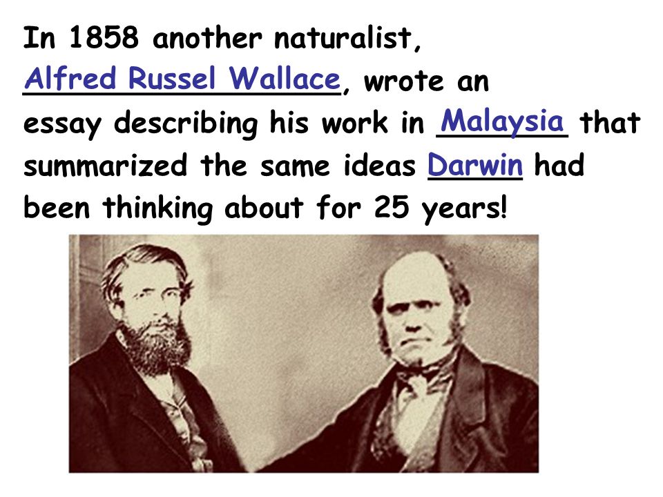 charles darwins ideas charles darwins ideas