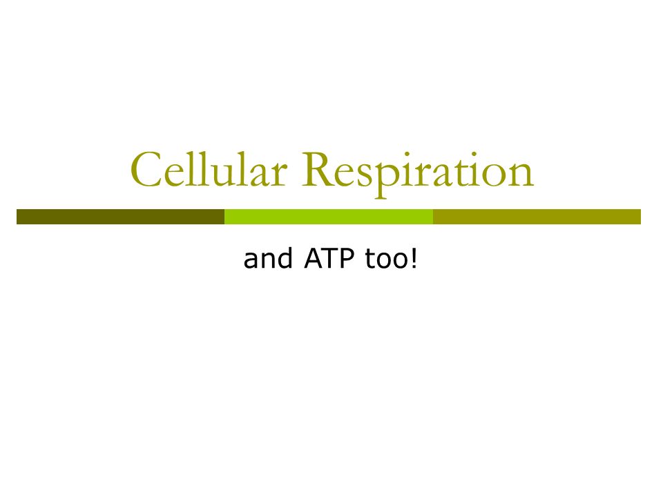 Chemical Equations Worksheet Answers Quizlet Equation For Chemical Equations Worksheet Answers Quizlet Equation For Aerobic Cellular Respiration Talkchannels