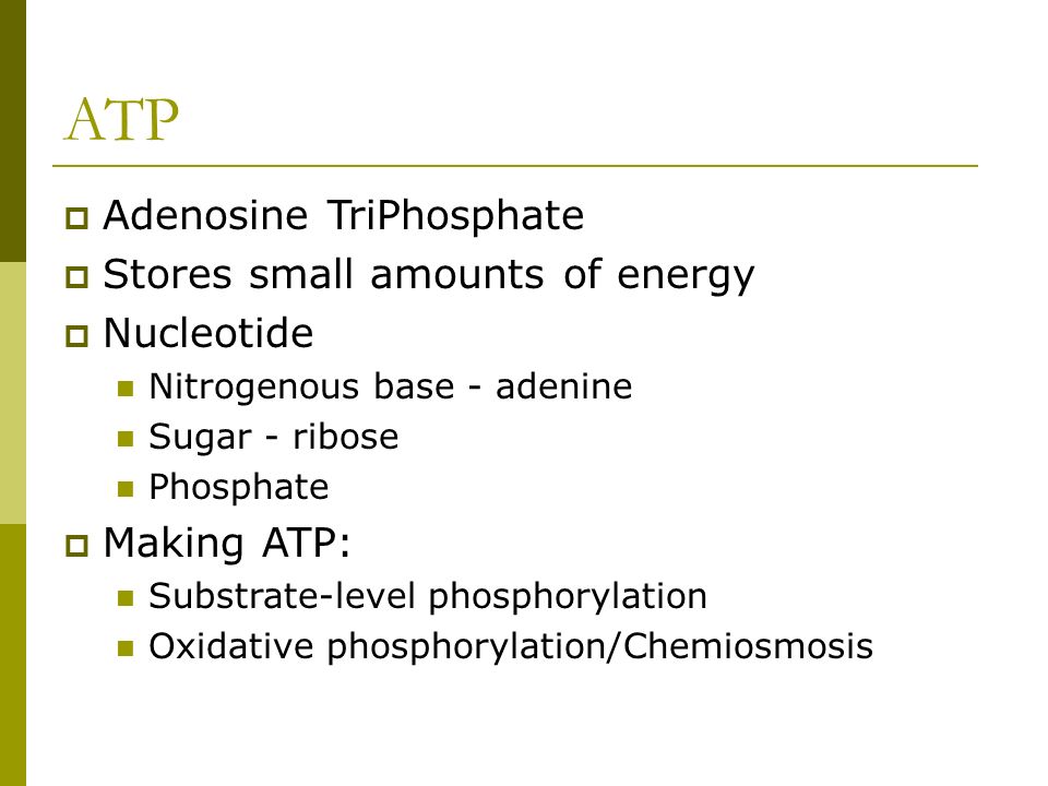 Ap Of The Day Write Out Equation For Cellular Respiration 5 Atp Adenosine Triphosp S Small Amounts Of Energy Nucleotide Nitrogenous Base Adenine Sugar Ribose Phosp Making