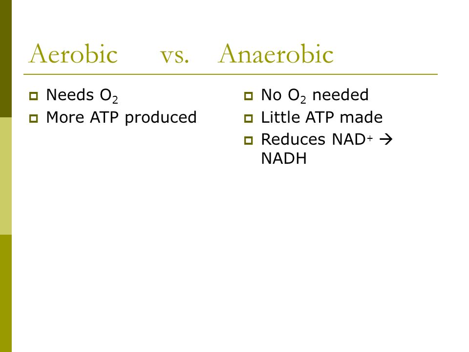 Ap Of The Day Write Out Equation For Cellular Respiration 7 Aerobic Vs