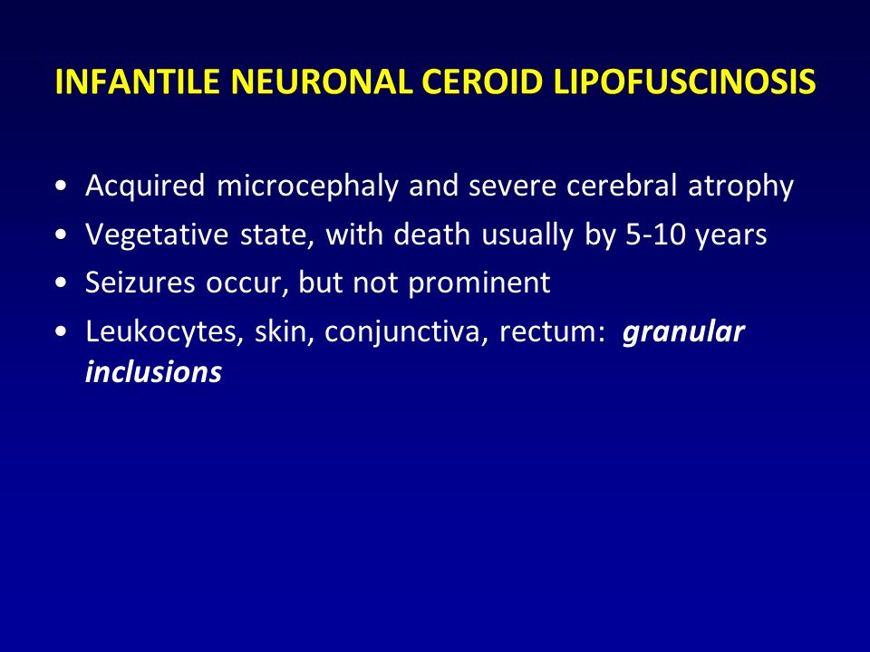 INFANTILE NEURONAL CEROID LIPOFUSCINOSIS Acquired microcephaly and severe cerebral atrophy Vegetative state, with death usually by 5-10 years Seizures occur, but not prominent Leukocytes, skin, conjunctiva, rectum: granular inclusions