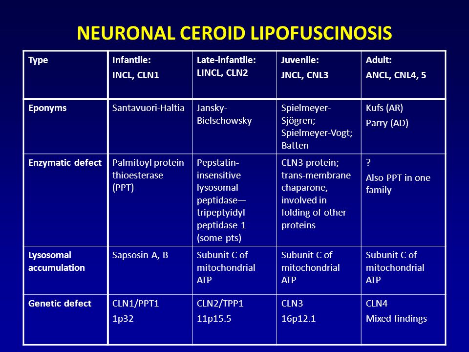 NEURONAL CEROID LIPOFUSCINOSIS TypeInfantile: INCL, CLN1 Late-infantile: LINCL, CLN2 Juvenile: JNCL, CNL3 Adult: ANCL, CNL4, 5 EponymsSantavuori-HaltiaJansky- Bielschowsky Spielmeyer- Sjögren; Spielmeyer-Vogt; Batten Kufs (AR) Parry (AD) Enzymatic defectPalmitoyl protein thioesterase (PPT) Pepstatin- insensitive lysosomal peptidase— tripeptyidyl peptidase 1 (some pts) CLN3 protein; trans-membrane chaparone, involved in folding of other proteins .