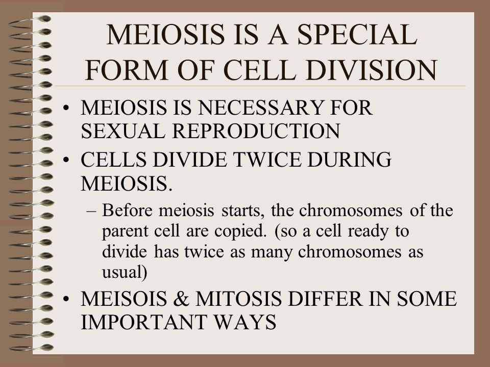MEIOSIS IS A SPECIAL FORM OF CELL DIVISION MEIOSIS IS NECESSARY FOR SEXUAL REPRODUCTION CELLS DIVIDE TWICE DURING MEIOSIS.