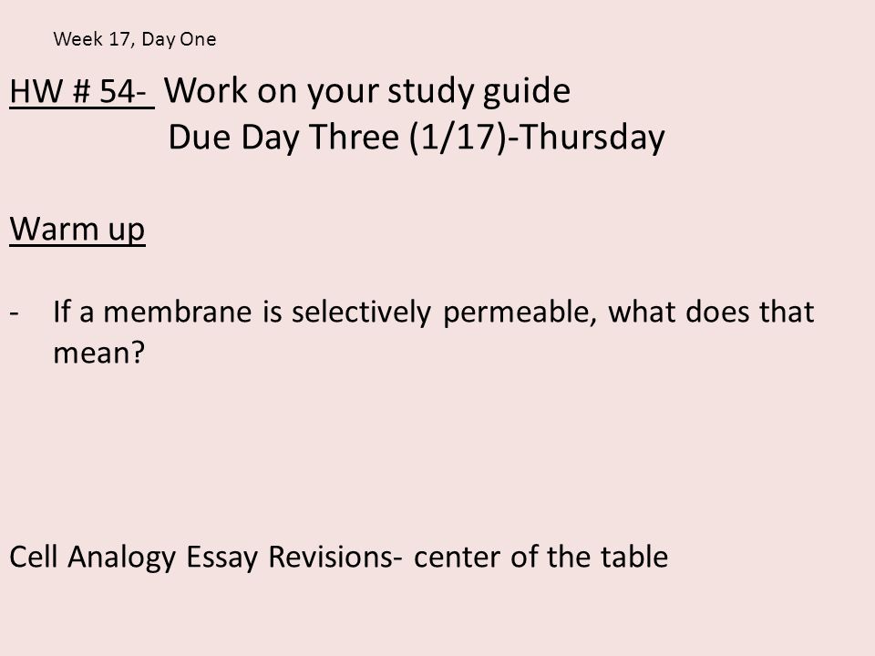 Best Buy Nukes Tablet Partners Resumes Hp Touchpad Sales Analogy Rutgers Essay Sample Majestys Aaahh Resume Rutgers Essay Help On A Hrefhttpdeskbeksanimportscomscholarship Rutgers Essay Example