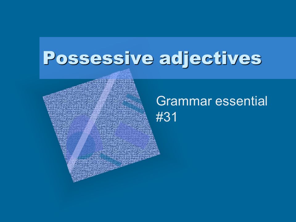 Possessive adjectives Grammar essential #31