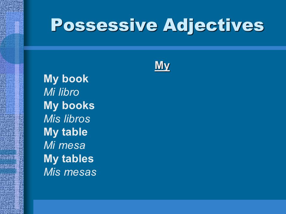 Possessive Adjectives My My book Mi libro My books Mis libros My table Mi mesa My tables Mis mesas