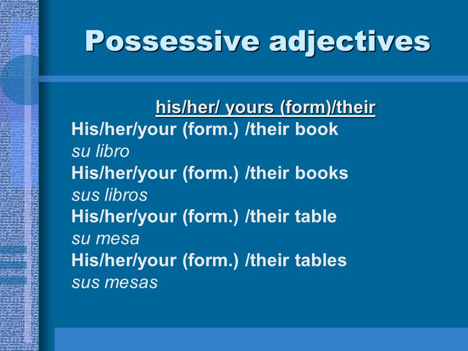 Possessive adjectives his/her/ yours (form)/their His/her/your (form.) /their book su libro His/her/your (form.) /their books sus libros His/her/your (form.) /their table su mesa His/her/your (form.) /their tables sus mesas