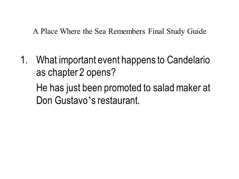a place where the sea remembers essay a place where the sea remembers essay