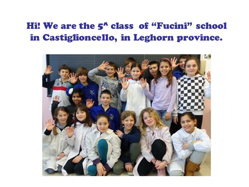 Hi! We are the 5^ class of Fucini school in Castiglioncello, in Leghorn province.