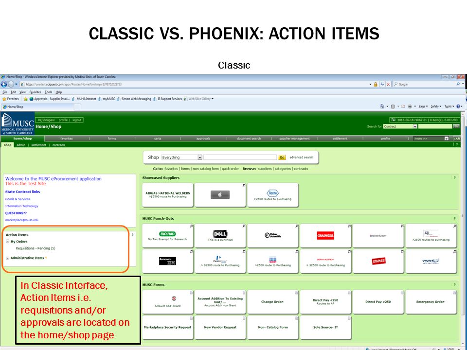 CLASSIC VS. PHOENIX: ACTION ITEMS Classic In Classic Interface, Action Items i.e.