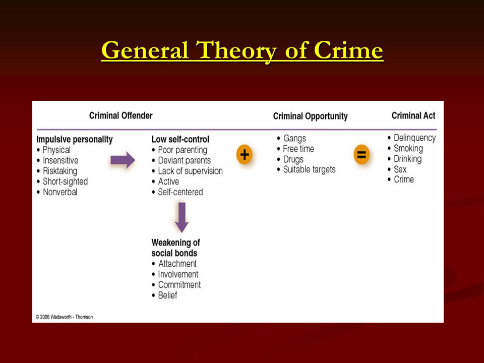 self control theory of crime essays self control theory of crime essays
