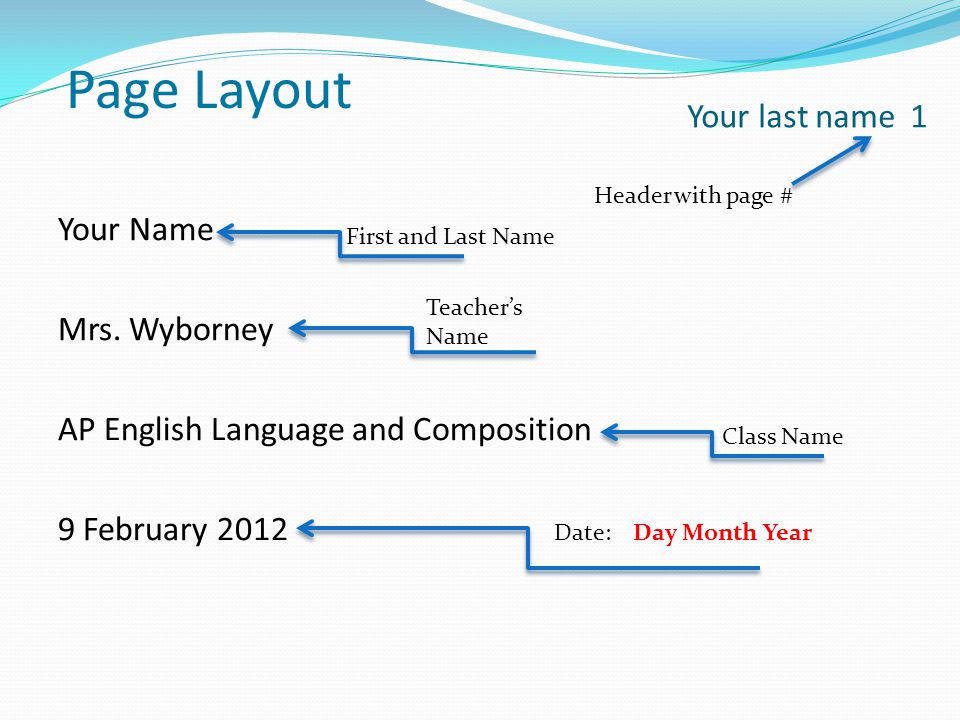 Argument Essay Layout