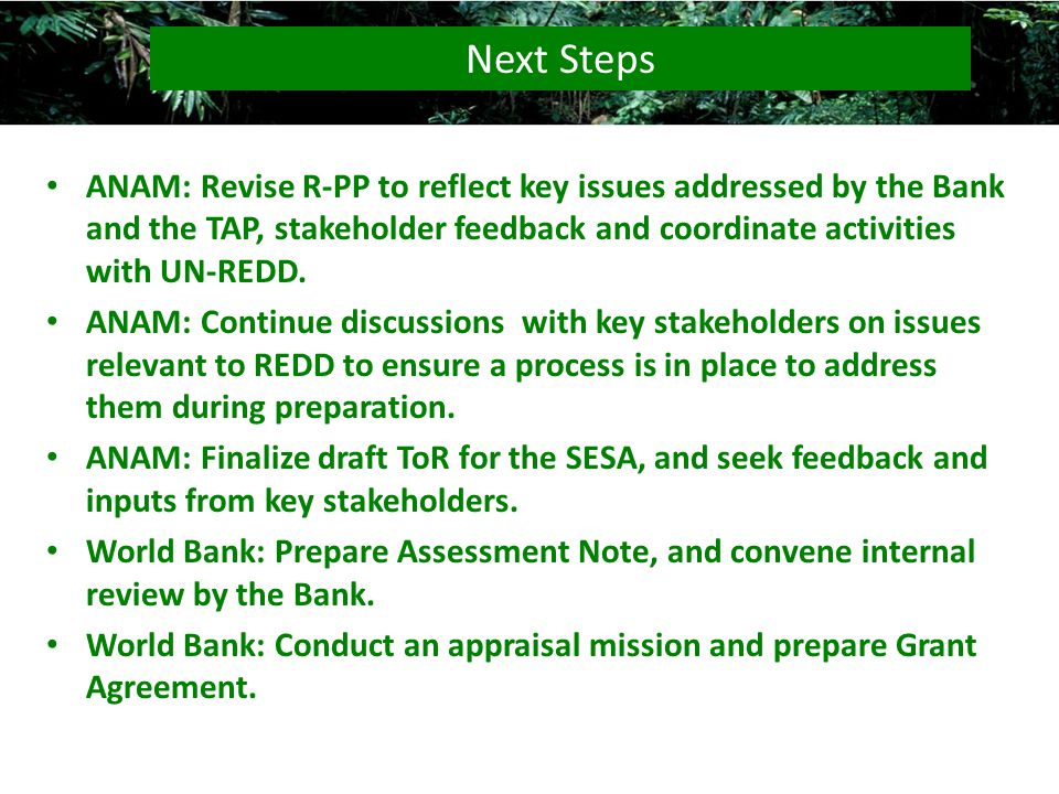 ANAM: Revise R-PP to reflect key issues addressed by the Bank and the TAP, stakeholder feedback and coordinate activities with UN-REDD.
