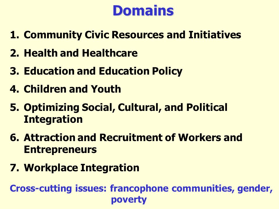 Domains 1.Community Civic Resources and Initiatives 2.Health and Healthcare 3.Education and Education Policy 4.Children and Youth 5.Optimizing Social, Cultural, and Political Integration 6.Attraction and Recruitment of Workers and Entrepreneurs 7.Workplace Integration Cross-cutting issues: francophone communities, gender, poverty