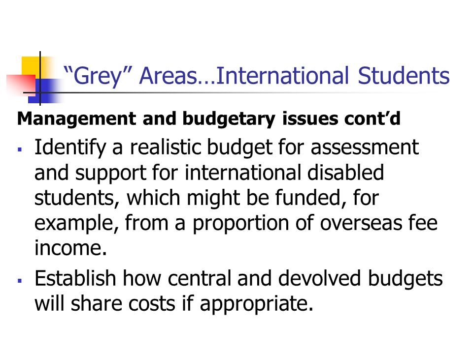 Grey Areas…International Students Management and budgetary issues contd Identify a realistic budget for assessment and support for international disabled students, which might be funded, for example, from a proportion of overseas fee income.