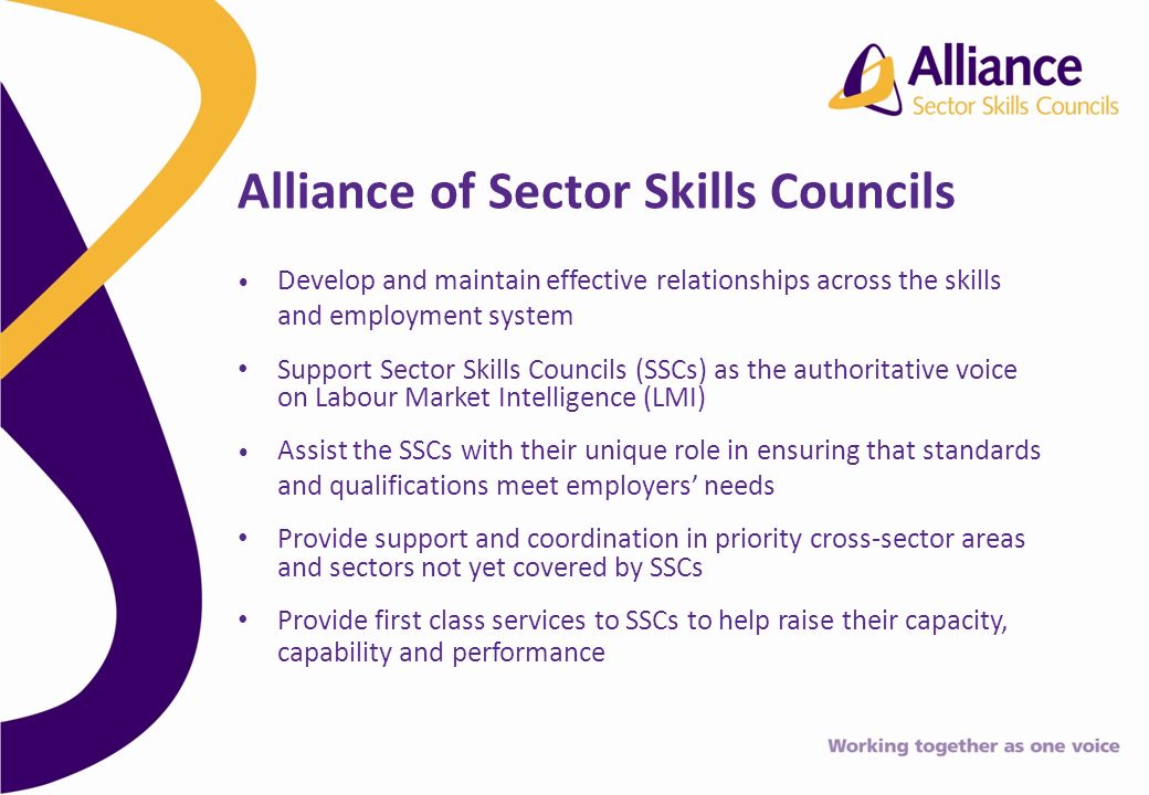Alliance of Sector Skills Councils Develop and maintain effective relationships across the skills and employment system Support Sector Skills Councils (SSCs) as the authoritative voice on Labour Market Intelligence (LMI) Assist the SSCs with their unique role in ensuring that standards and qualifications meet employers needs Provide support and coordination in priority cross-sector areas and sectors not yet covered by SSCs Provide first class services to SSCs to help raise their capacity, capability and performance