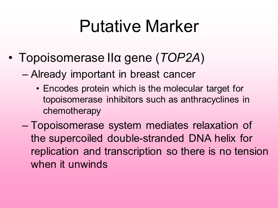 Putative Marker Topoisomerase IIα gene (TOP2A) –Already important in breast cancer Encodes protein which is the molecular target for topoisomerase inhibitors such as anthracyclines in chemotherapy –Topoisomerase system mediates relaxation of the supercoiled double-stranded DNA helix for replication and transcription so there is no tension when it unwinds