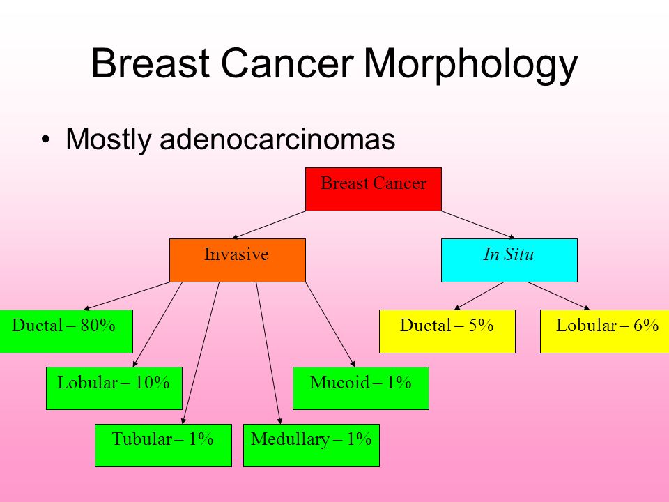 Breast Cancer Morphology Mostly adenocarcinomas Breast Cancer InvasiveIn Situ Ductal – 80% Lobular – 10% Tubular – 1% Ductal – 5%Lobular – 6% Mucoid – 1% Medullary – 1%